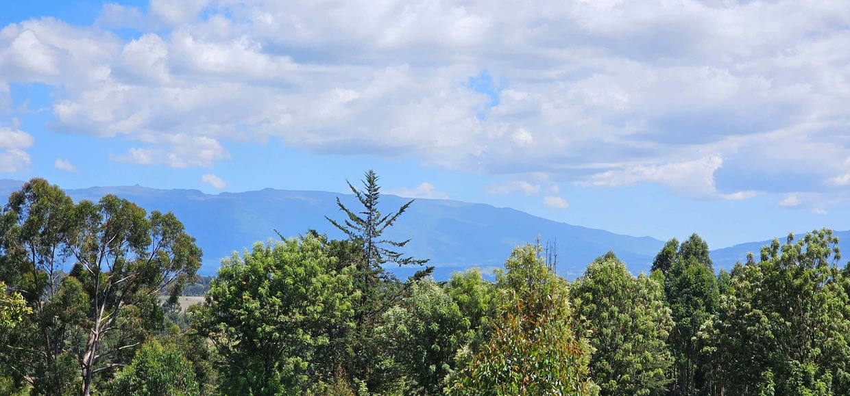 Eagles Nest Balcony